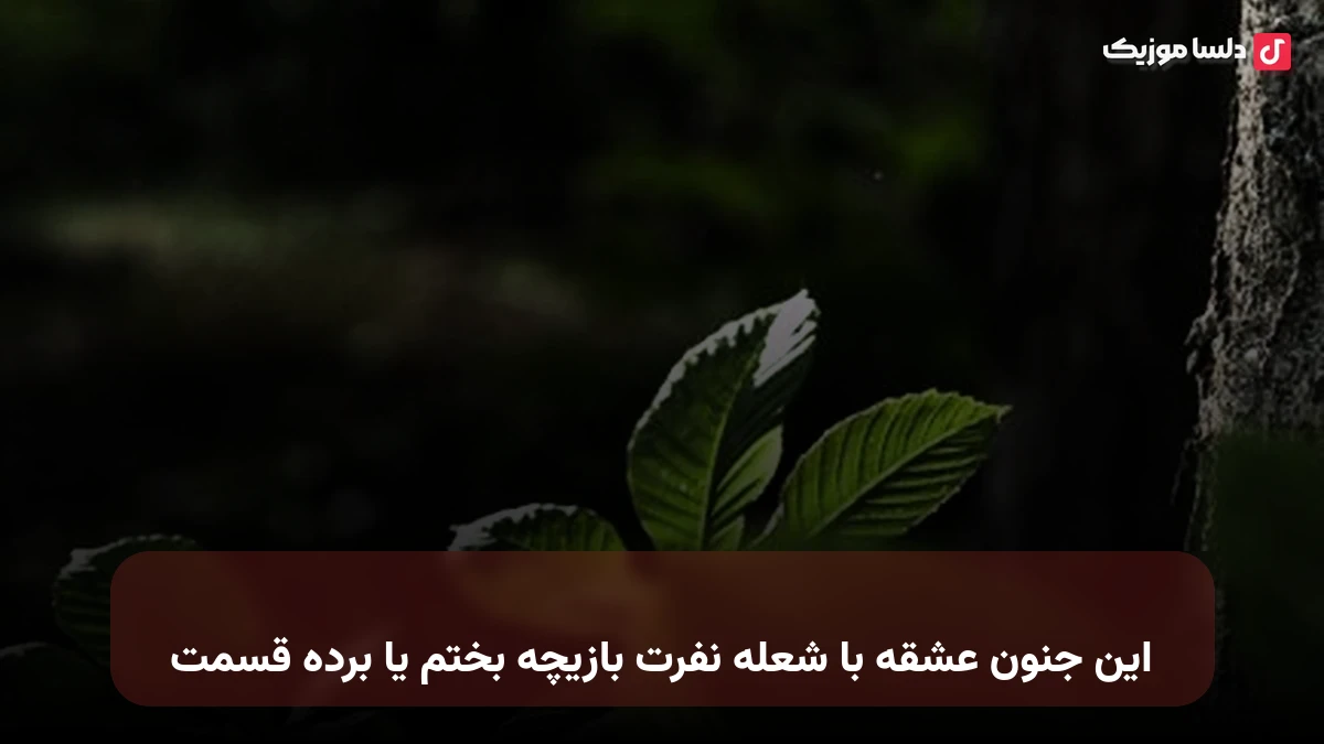 این جنون عشقه با شعله نفرت بازیچه بختم یا برده قسمت
